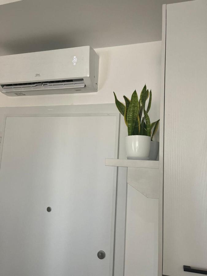 Comfy Nest Apartment- Free Parking Tirana Eksteriør billede